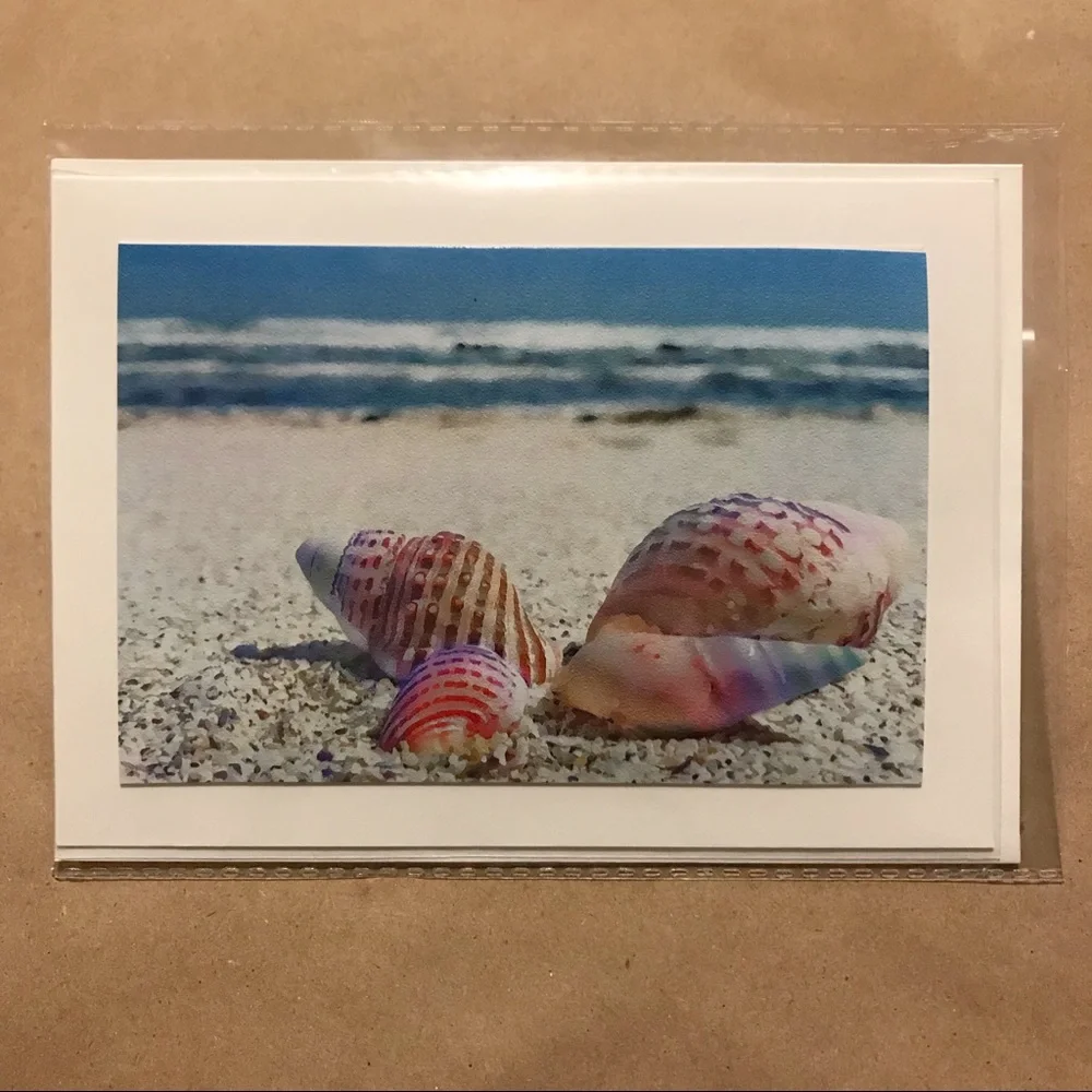 🔥Seashells Watercolor Photo Greeting Card